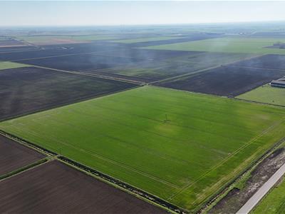 Guide Price £1,750,000 - Ely